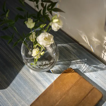 阿米尼斯拉古娜酒店 Novigrad Istria